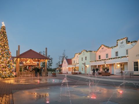 Familie Resort Molenwaard - Camping Molenlanden - Image N°50