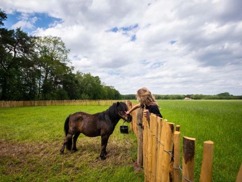 Papillon Country Resort - Camping Dinkelland - Image N°31