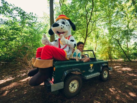 Papillon Country Resort - Camping Dinkelland - Image N°17