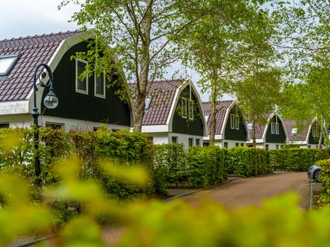 EuroParcs Koningshof - Camping Bergen - Image N°15