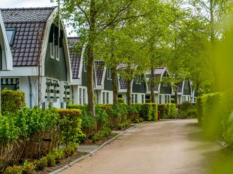EuroParcs Koningshof - Camping Bergen - Image N°14