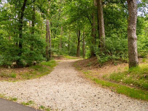 Landal  Park De Peel - Camping Deurne - Image N°34