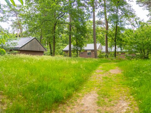 Landal  Park De Peel - Camping Deurne - Image N°31