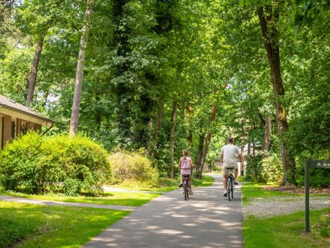 Landal  Park De Peel - Camping Deurne - Image N°29
