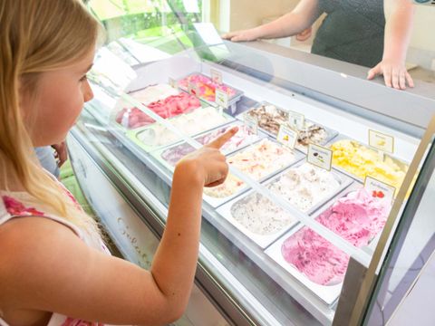 TopParken Resort Veluwe - Camping Barneveld