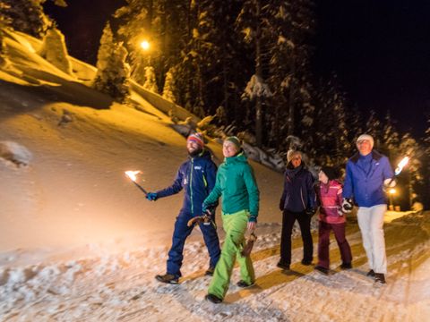 Landal Katschberg - Camping Carinthie