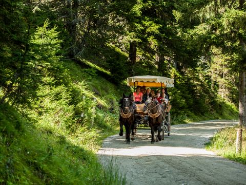 Landal Katschberg - Camping Carinthie