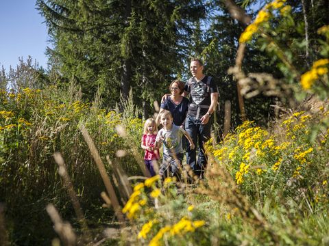 Landal Katschberg - Camping Carinthie