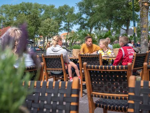 Landal Villapark Vogelmient - Camping Texel - Image N°3