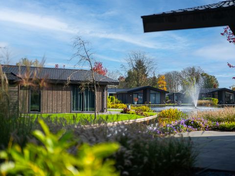 Vakantiepark Molenvelden - Camping Veldhoven - Image N°3