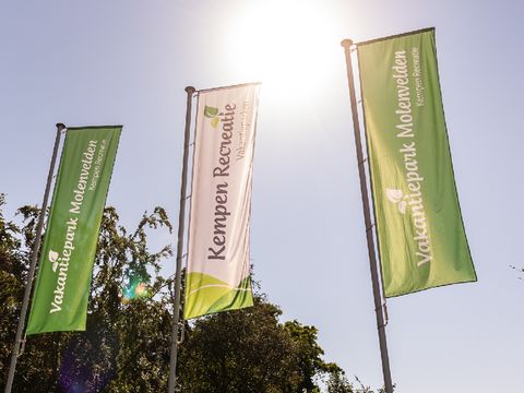 Vakantiepark Molenvelden - Camping Veldhoven - Image N°18