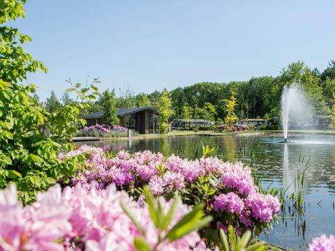 Vakantiepark Molenvelden - Camping Veldhoven