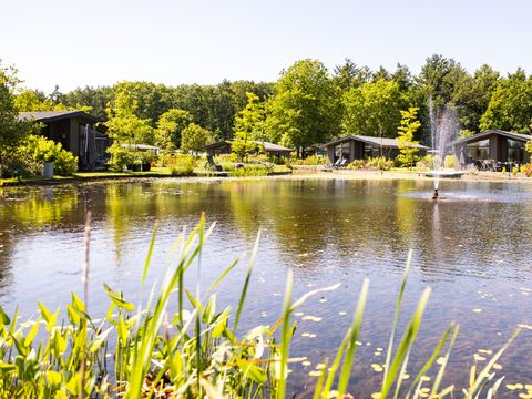 Vakantiepark Molenvelden - Camping Veldhoven - Image N°16