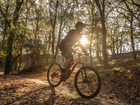 Landal Kaatsheuvel - Camping Loon op Zand