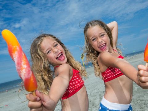 Landal Camping De Zandput - Camping Veere - Image N°3