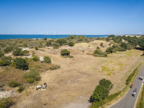 Landal Camping De Zandput - Camping Veere - Image N°3