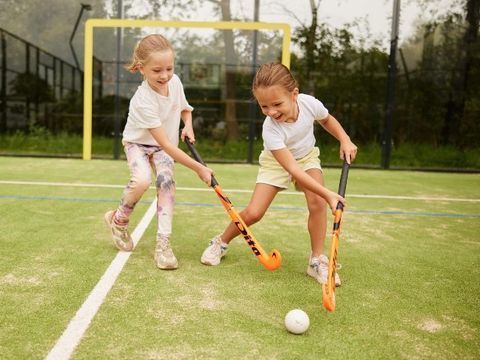 Brinckerduyn - Camping Ooststellingwerf - Image N°3