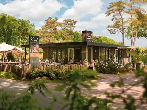 Soof Heuvelrug - Camping Rhenen - Image N°2