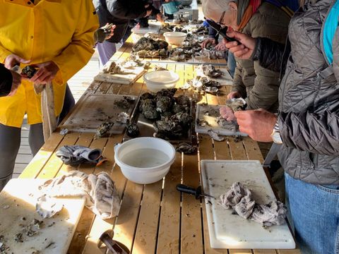 Hotel Kommandoergarden - Camping Danemark du Sud