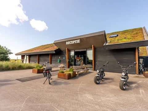 Landal Ameland - Camping Ameland - Image N°4