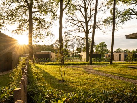 Hofparken Wiltershaar - Camping Winterswijk - Image N°32