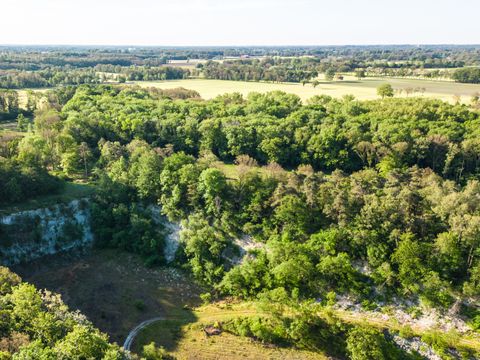 Hofparken Wiltershaar - Camping Winterswijk - Image N°46