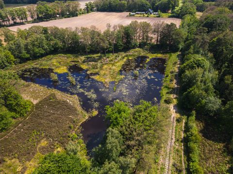 Hofparken Wiltershaar - Camping Winterswijk - Image N°41