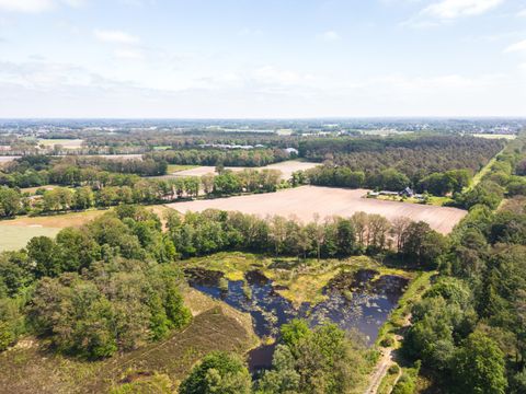 Hofparken Wiltershaar - Camping Winterswijk - Image N°44