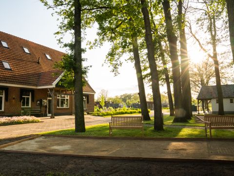 Hofparken Wiltershaar - Camping Winterswijk - Image N°22