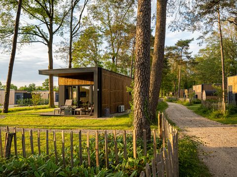 Hofparken Wiltershaar - Camping Winterswijk - Image N°13