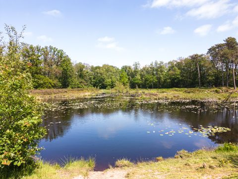 Hofparken Wiltershaar - Camping Winterswijk - Image N°42
