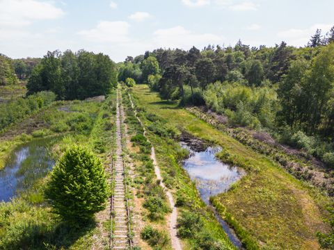 Hofparken Wiltershaar - Camping Winterswijk - Image N°40