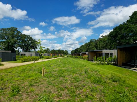 Hofparken Wiltershaar - Camping Winterswijk - Image N°38
