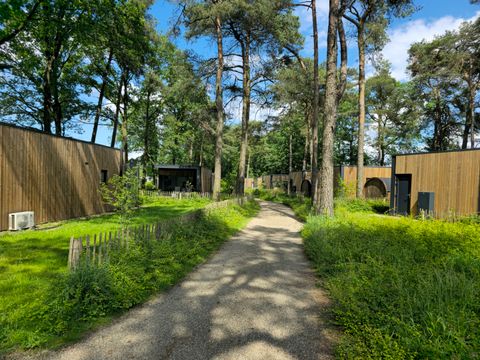 Hofparken Wiltershaar - Camping Winterswijk - Image N°34