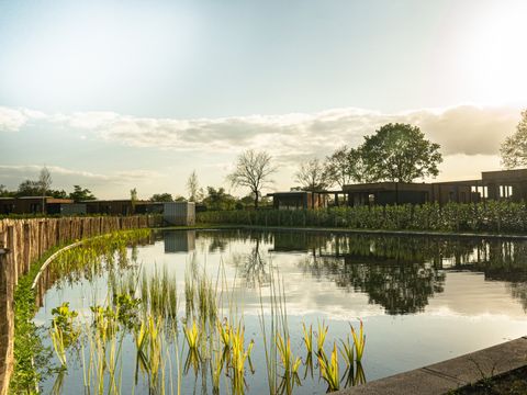 Hofparken Wiltershaar - Camping Winterswijk - Image N°36