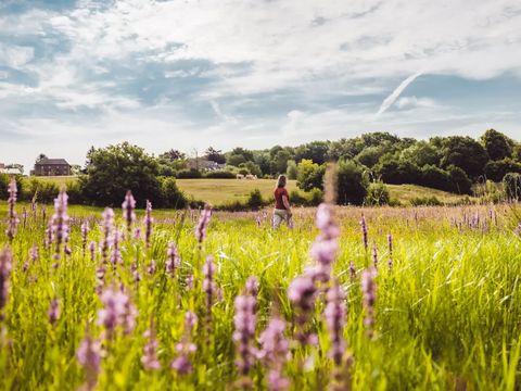 Landal Gulpen - Camping Gulpen-Wittem - Image N°31
