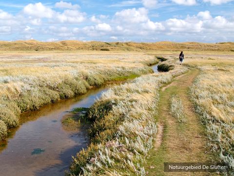 Villapark de Koog - Camping Texel - Image N°16