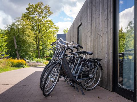 Landal Glamping Lauwersmeer - Camping Het Hogeland