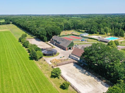 Park Drentheland - Camping Westerveld - Image N°7