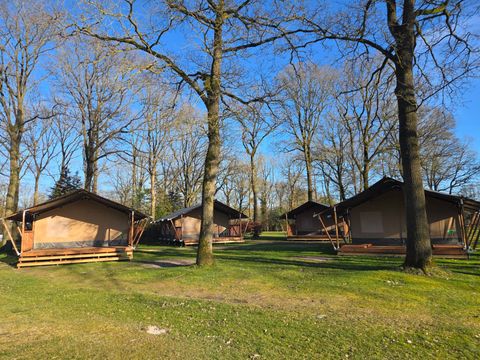 Park Drentheland - Camping Westerveld - Image N°15