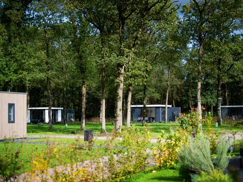 Park Drentheland - Camping Westerveld - Image N°2