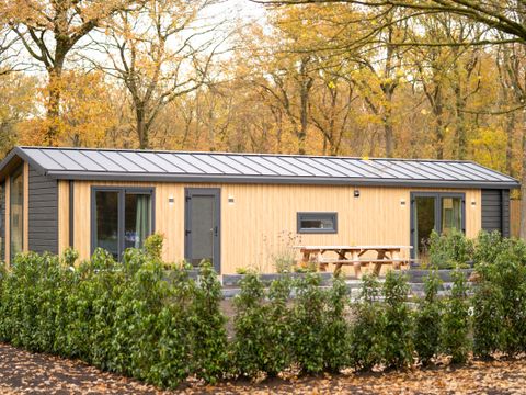 Park Drentheland - Camping Westerveld - Image N°11