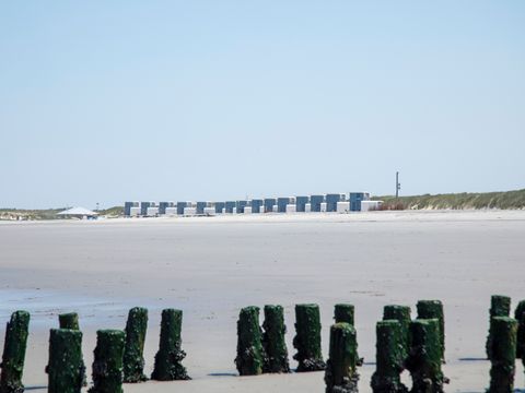 Camping Zonneweelde - Camping Sluis - Image N°35