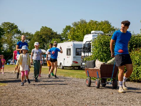 Camping Zonneweelde - Camping Sluis - Image N°19
