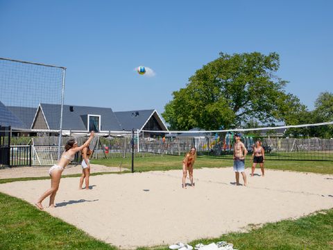 Camping Zonneweelde - Camping Sluis - Image N°15