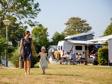 Camping Zonneweelde - Camping Sluis - Image N°26