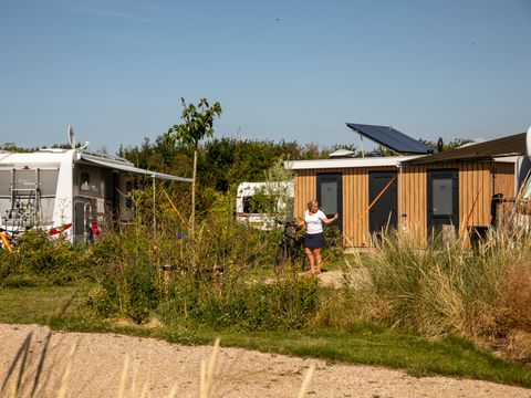 Camping Zonneweelde - Camping Sluis - Image N°27