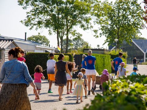 Camping Zonneweelde - Camping Sluis - Image N°20