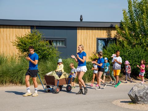 Camping Zonneweelde - Camping Sluis - Image N°18
