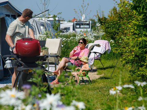 Camping Zonneweelde - Camping Sluis - Image N°43